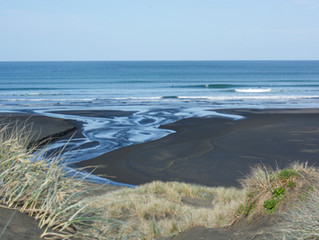 Piha Surf Academy Lessons - November