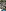 LogoLicious_20170326_140548.png