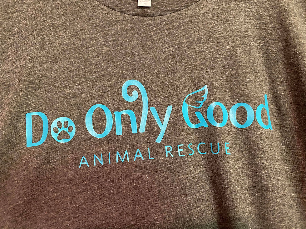 Thumbnail: Dark Grey Short Sleeve T-Shirt