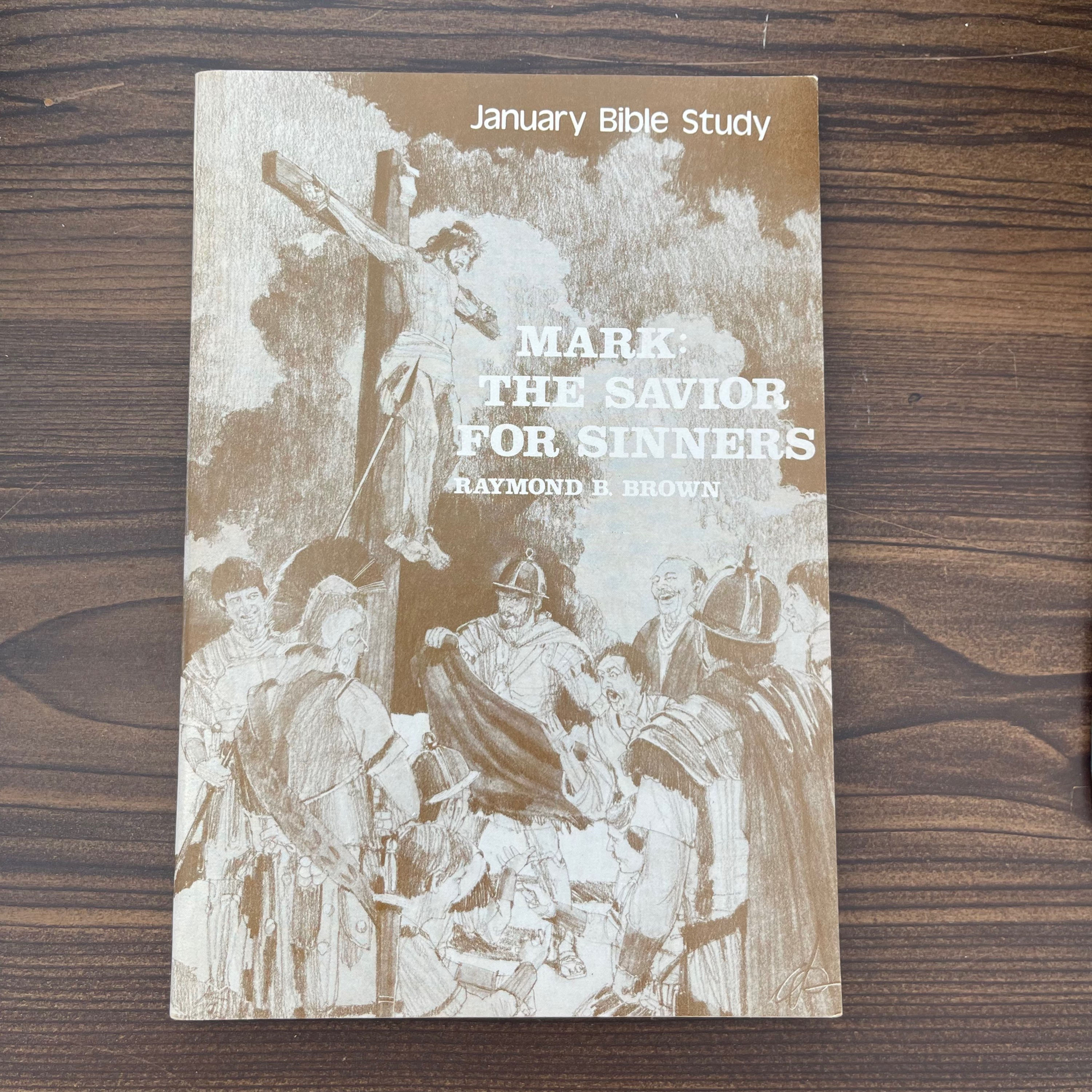 DM100 Mark: The Savior for Sinners Book