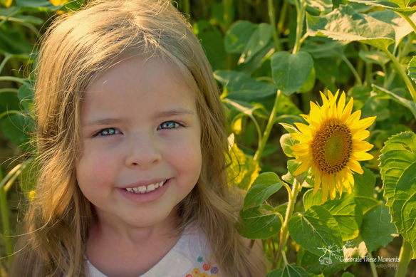 Sunflower Mini Sessions