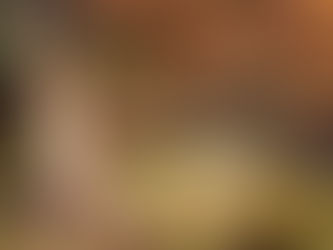 Using Your Imagination to See