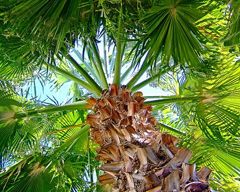 Branch Out_Photograph by Jann Alexander © 2014