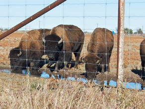 15 Things Learned From 1440 Miles of Texas In Six Days