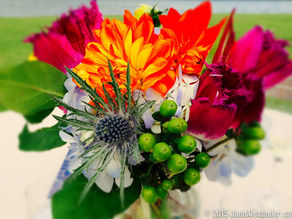 How To Handle Flowers With Care