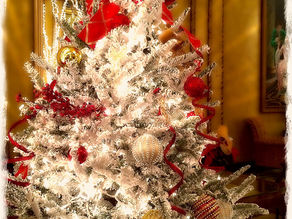 ’Tis the Season to Twinkle