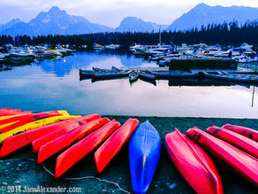 Lined Up and Ready to Jump In