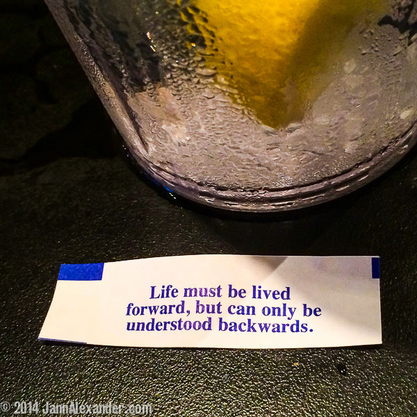 Live Forward by Jann Alexander ©2014