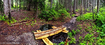 <em>Along the Curtis Farm Trail, Rainy Day iPhoneography by Jann Alexander ©2015</em>