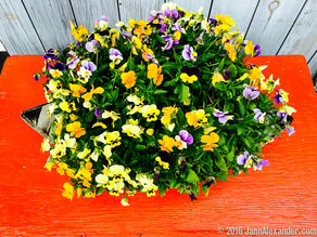 Ordinary Actions And Memorable Reactions