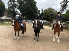 Grassroots Championships Sucess, and Further Qualifications