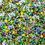 Thumbnail: Game On! Sprinkle Mix