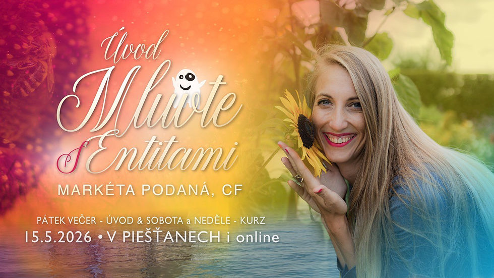 Talk to the entities Introduction online and Piešťany