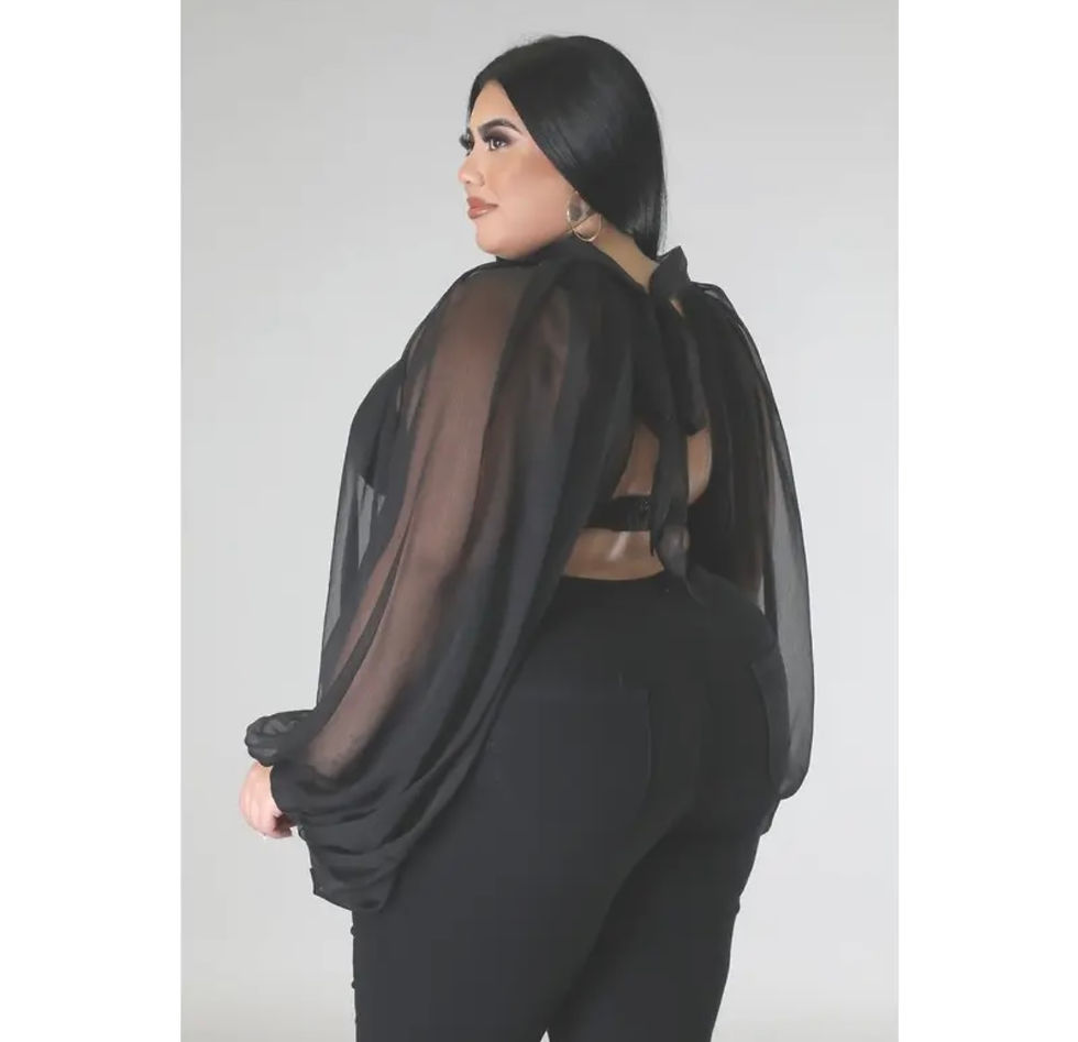 Thumbnail: Organza Blouse