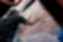 DSC01598.JPEG