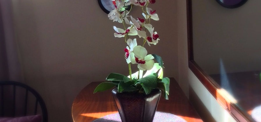 Mom Bedroom Accent_edited_edited.jpg