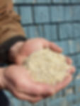 Organic Layer Mash (aka chicken feed)