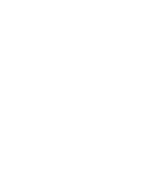 2020-03-03 (2).png