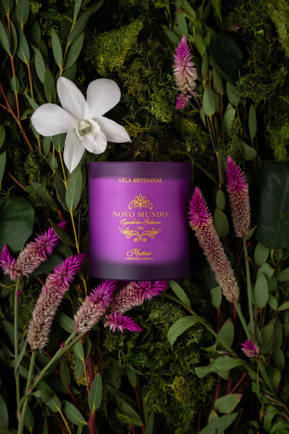 Beautiful candle woods flowers nature