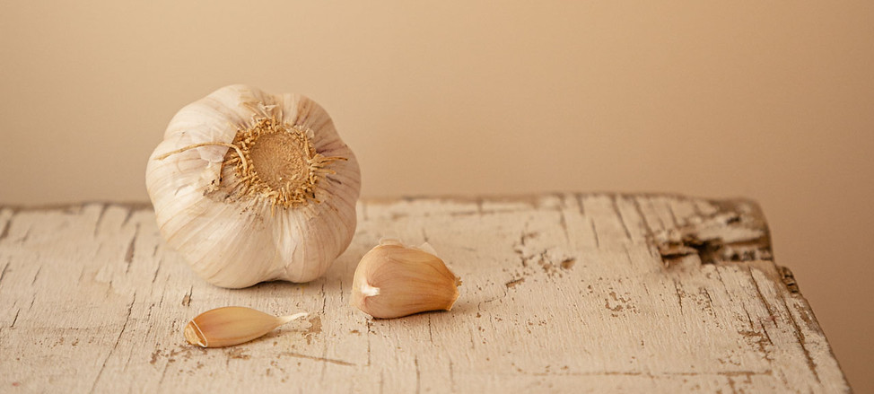 Garlic Photography