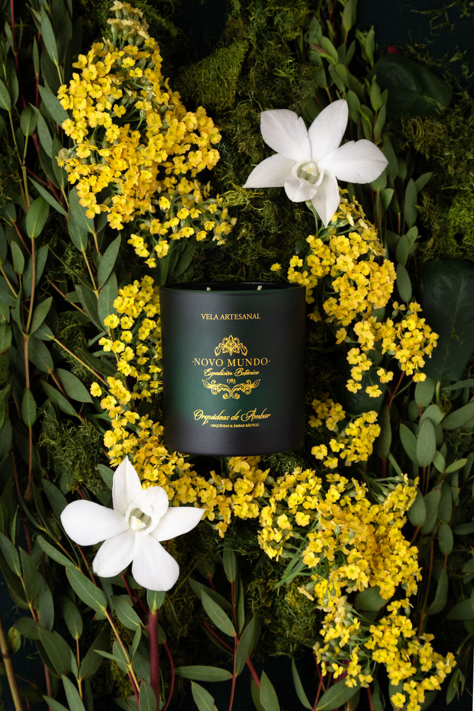 Beautiful candle flowers nature