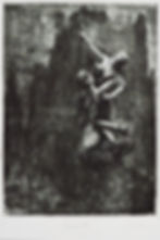 RAPTO.jpg