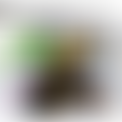 Colle’ Kharis turns the page with Lot 13, a bold new musical journey