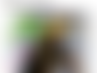 Colle’ Kharis turns the page with Lot 13, a bold new musical journey