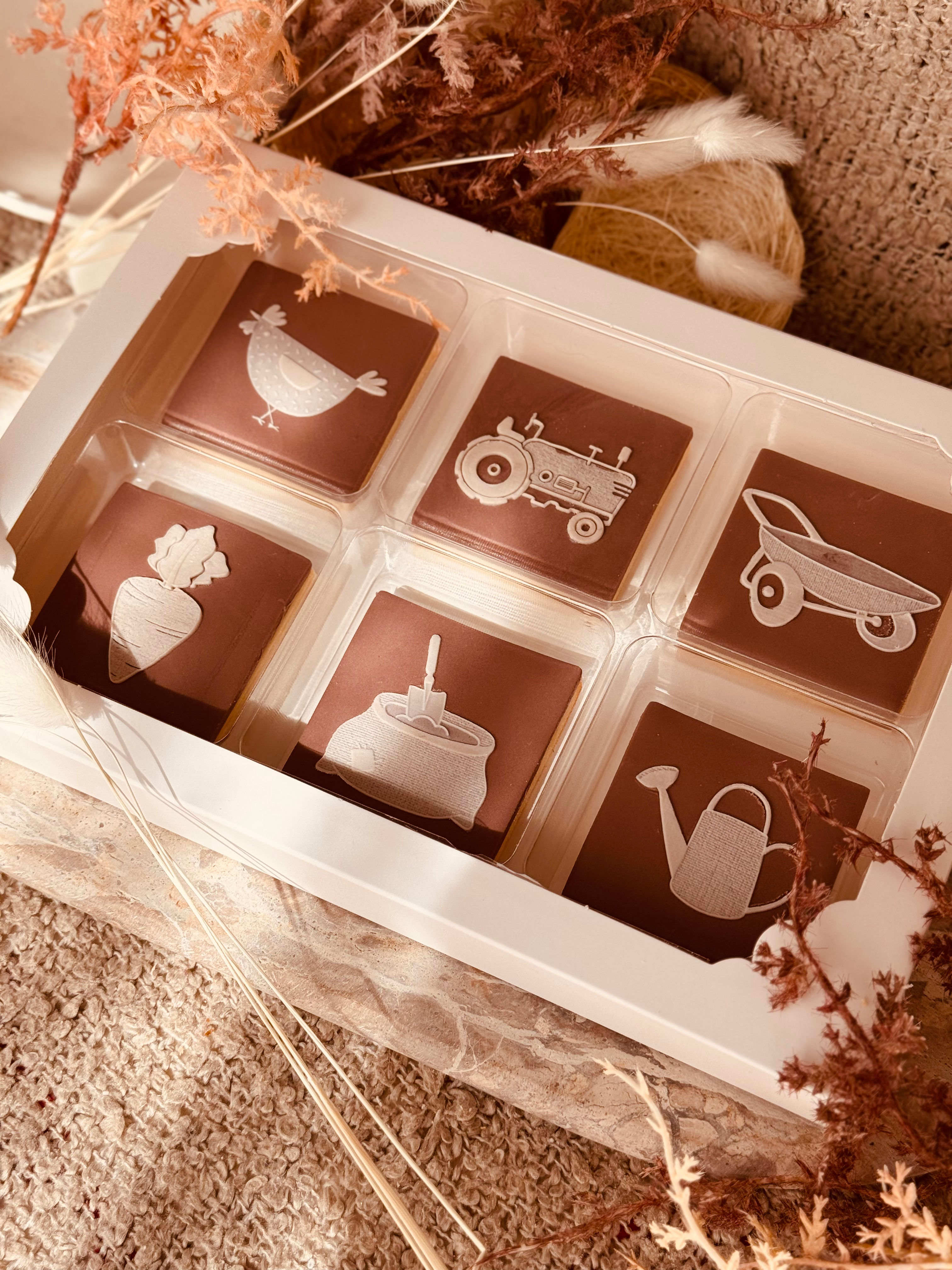 BENTO BOX - FARM LIFE