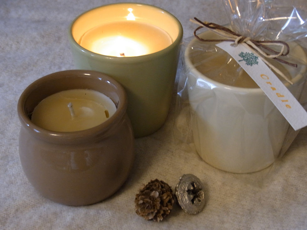 カップCandle / 1個