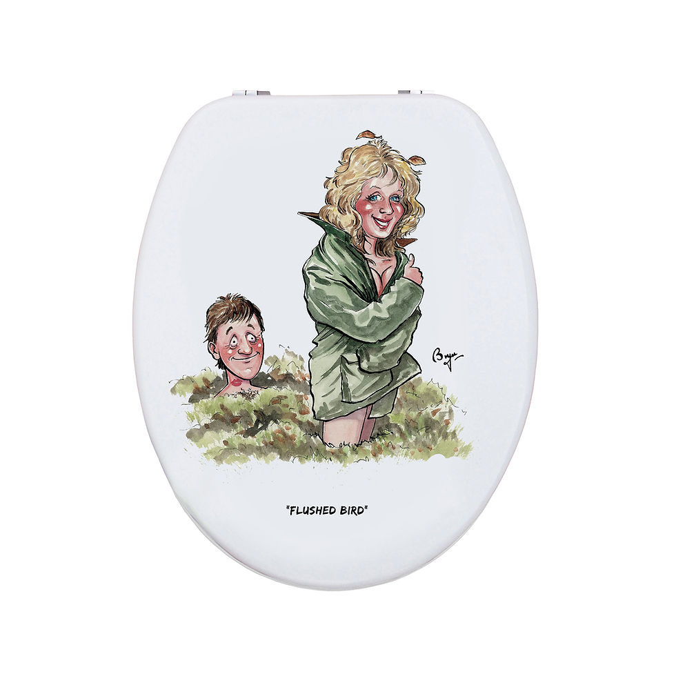 Thumbnail: Flushed Bird - Bryn Parry- Toilet Seat.