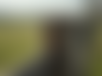 Effective Fence Repair Solutions in Wellington, FL