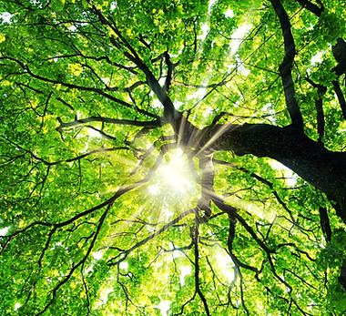 AdobeStock_270426348.jpeg