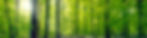 AdobeStock_85975872.jpeg