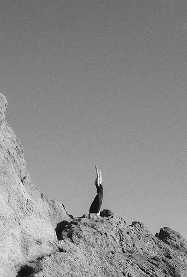 FT2A7759 copie 2.jpg