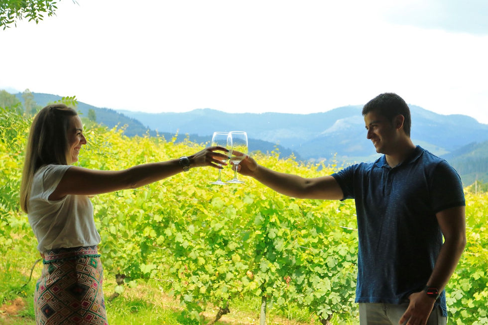 Txakolinaren ibilbidea