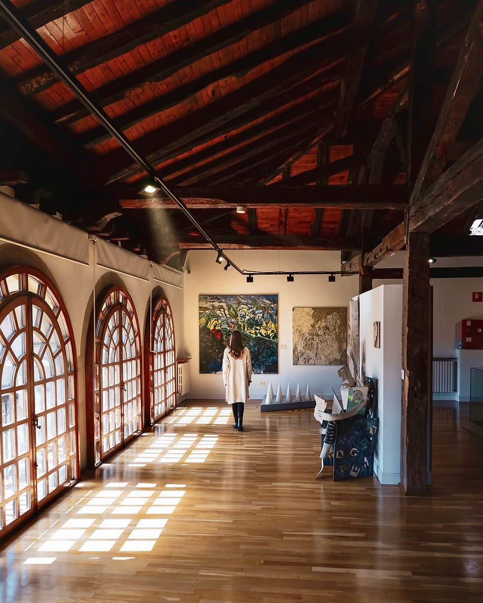 MUSEO POR DENTRO