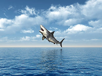 istockphoto-464594060-612x612.jpg