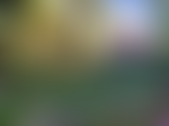 Du lịch Tết gia đình 2026: Cao nguyên Di Linh & hồ Kala – điểm đến yên bình, ít người biết đến