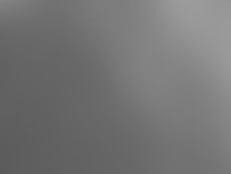 Understanding Spore-Forming Probiotics: The Unique World of Bacillus coagulans IDCC 1201 (SPORABLE®)