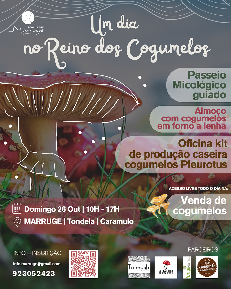 2025 08 29 31 Fds na Aldeia_atividade crianças_QR Code.png