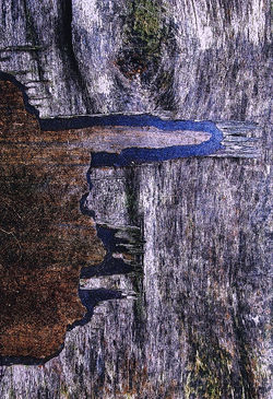 Edited Image 2015-8-17-19:17:11