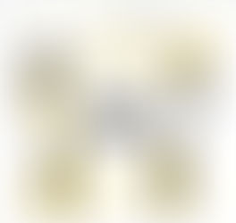 VISTORIA CAUTELAR VEICULAR