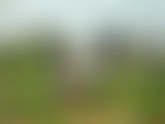 As incoerências de um governo virado à direita, o exemplo do sector da agricultura