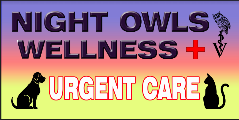 night owl pharmacy inc night owl pharmacy inc