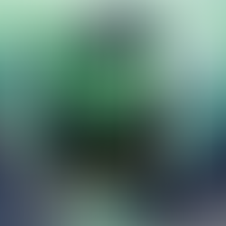 Siamo davvero liberi in un mondo iper-connesso?