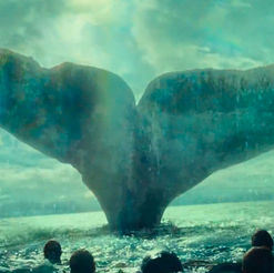 Nel cuore del mare con Moby Dick