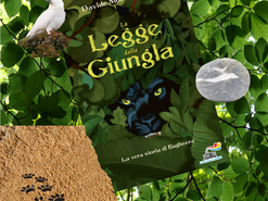 Bagheera, la vera storia della pantera