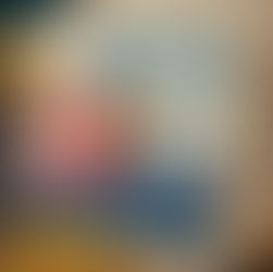 Scivolando tra i tetti