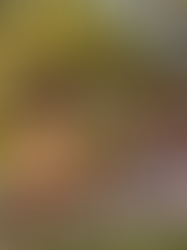 Tchau, Telas! Por que a socialização no DF é o melhor "detox" para o seu filho de 3 a 5 anos